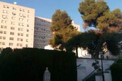 Jardin-y-Pabellon-Nuevo-2