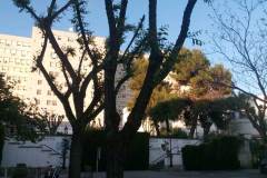 Jardin-y-Pabellon-Nuevo